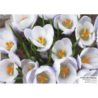 Фотообои Симфония К-057 280х200 см