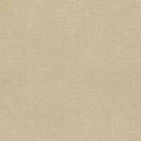 Обои флизелиновые Rasch Maximum XV коричневые 1.06 м 959543