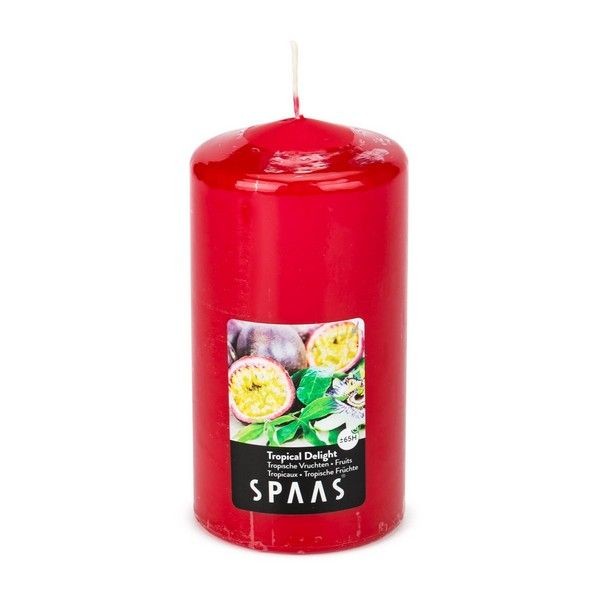 Декоративная свеча Spaas Тропический восторг 0004800006