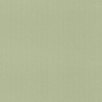 Обои флизелиновые Rasch Poetry (1.06x10.05) зелёные 1.06 м 960716