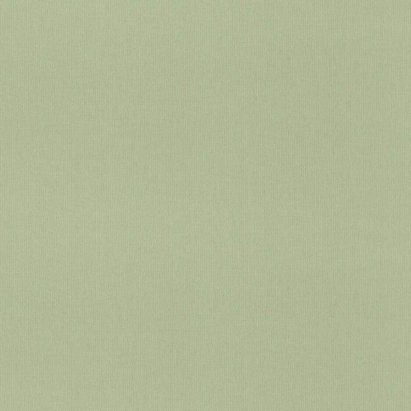 Обои флизелиновые Rasch Poetry (1.06x10.05) зелёные 1.06 м 960716