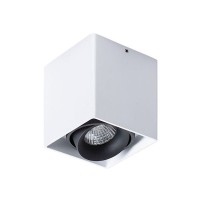 Светильник точечный накладной Arte Lamp Pictor A5654PL-1WH