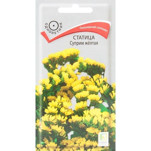 Статица «Суприм» жёлтая