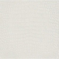 Обои флизелиновые Rasch Mandalay серые 0.53 м 474169