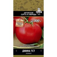 Семена Томат «Джина ТСТ»
