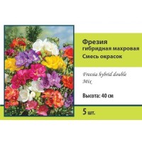 Фрезия гибридная махровая микс луковица 5/6