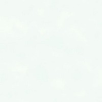 Обои бумажные York Wallcoverings Ready, Set, Grow черные SK6486 0.52 м