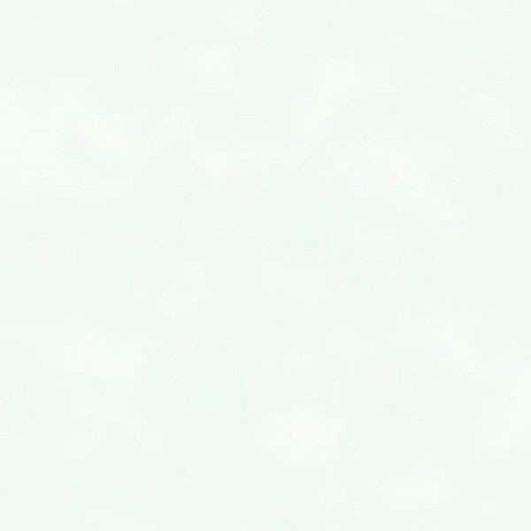 Обои бумажные York Wallcoverings Ready, Set, Grow черные SK6486 0.52 м
