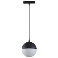 Трековый светильник Maytoni TR018-2-10W4K-B