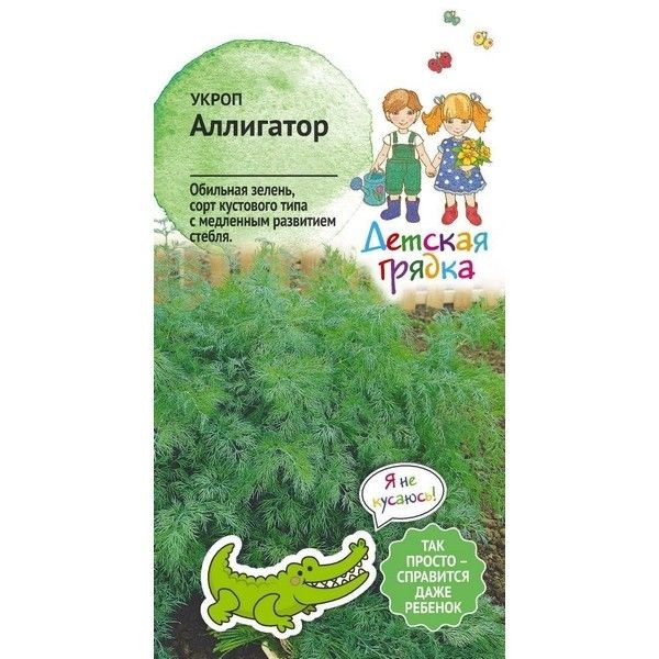 Семена Укроп «Аллигатор»