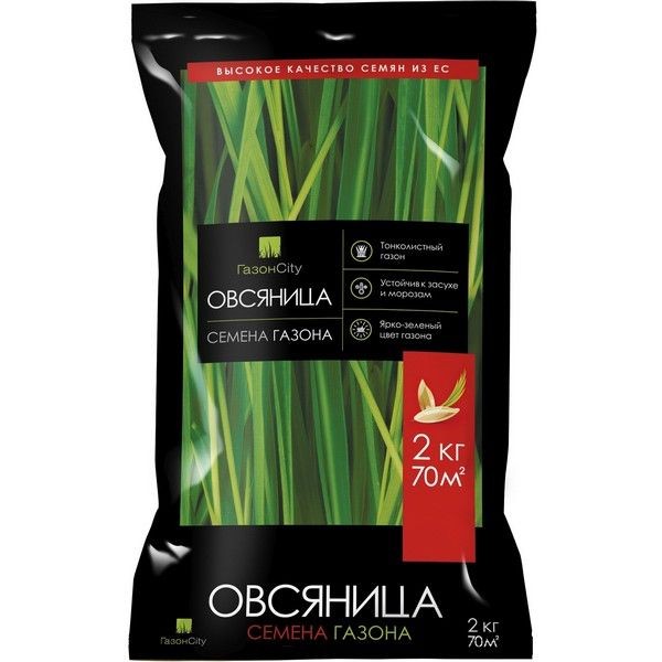 Семена газонной травы "34;Овсяница 100% "34; 2 кг