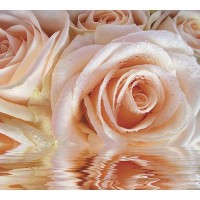 Фотообои DeliceDecor Нежная роза Ф 030 300х270 см