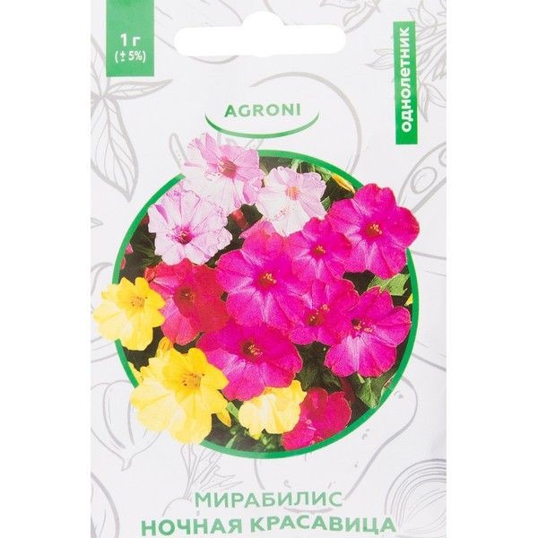 Мирабилис «Ночная красавица» XS