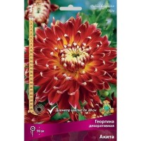 Георгина декоративная Акита луковица I