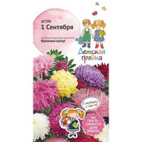Семена Астра «1 Сентября»