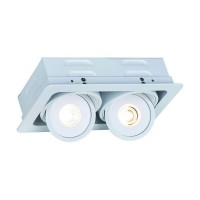 Светильник точечный светодиодный встраиваемый Arte Lamp Studio A3007PL-2WH теплый свет под отверствие 10.5 мм