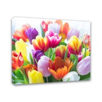 Картина Симфония Тюльпаны 1-051, 40х50 см