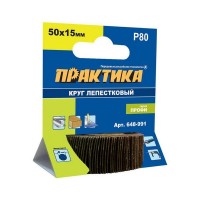 Круг лепестковый Практика Профи 648-991 50х15 мм P 80 6 мм