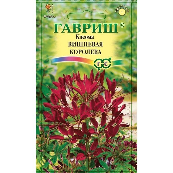Семена Клеома Вишнёвая королева