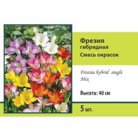 Фрезия гибридная микс луковица 5/6