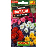 Семена Георгина изменчивая «Фараон» микс