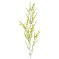 Декоративный предмет Lefard Ветка 210-213