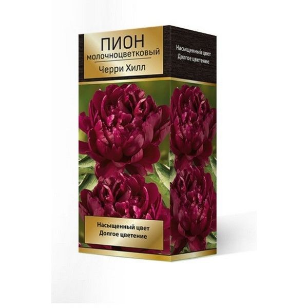 Пион травянистый Черри Хилл луковица 2-3
