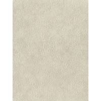Обои флизелиновые Euro Decor Monstera бежевые 7069-01 1.06 м