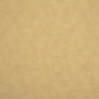 Обои флизелиновые Collection for walls Maja 8015 желтые 1.06 м