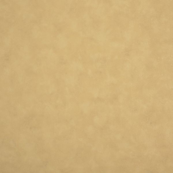 Обои флизелиновые Collection for walls Maja 8015 желтые 1.06 м