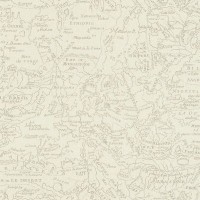 Обои флизелиновые Rasch Poetry белые 0.53 м 424508