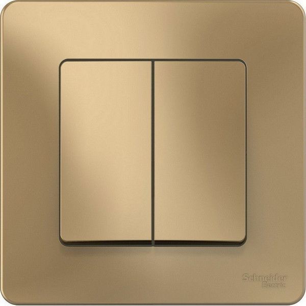 Выключатель встраиваемый Schneider Electric Blanca 2 клавиши, цвет титан