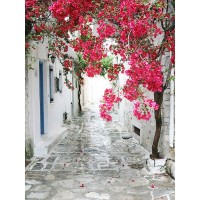 Фотообои Fotooboikin Улочка с цветами fot-14 200х270 см