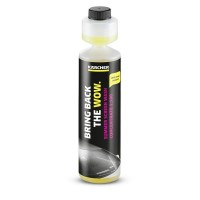 Жидкость стеклоомывающая летняя Karcher RM 672, 0.25 л
