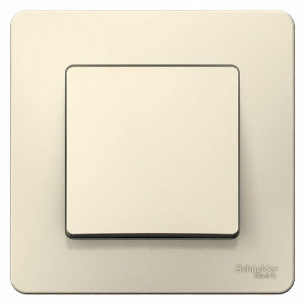 Выключатель встраиваемый Schneider Electric Blanca 1 клавиша, 6А, цвет молочный