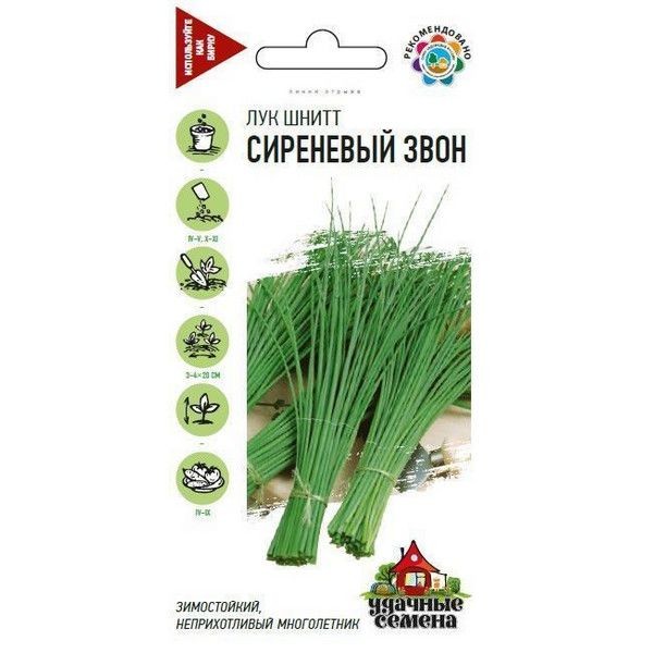 Семена Лук-шнитт Сиреневый звон
