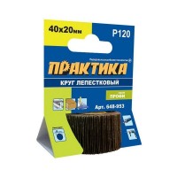 Круг лепестковый Практика Профи 648-953 40х20 мм P120 6 мм