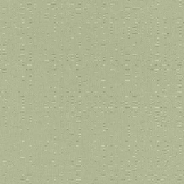Обои флизелиновые Rasch Poetry зелёные 0.53 м 423938