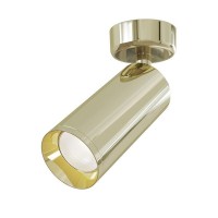 Светильник настенно-потолочный Maytoni Focus C017CW-01G 1 лампа цвет золото