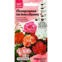 Пеларгония «Колорама» смесь окрасок F2 5 шт.