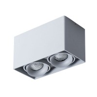 Светильник точечный накладной Arte Lamp Pictor A5654PL-2GY
